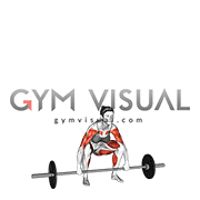 Barbell Power Snatch (female)