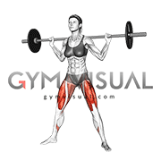 Barbell Sumo Squat (female)