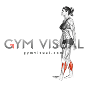 Heel Walk (female)
