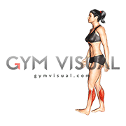 Heel Walk (female)