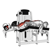 Lever Lying Leg Curl to Reverse Hyperextension