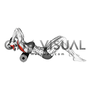 Lying Thoracic Extensions on Foam Roller (female)
