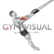 Ring Arm Curl (male)