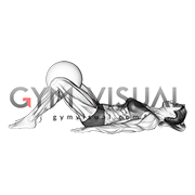 Ball Assisted Lying Bent Knee Isometric Hip Adduction (female)