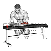 Isometric Wrist Extension (male)