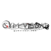 Ball Assisted Lying Supine Hip Adduction (female)