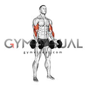 Dumbbell Zottman Curl