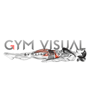 Lying Leg Raise and Hold (female)