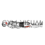 Lying Supine Heel Slide (male)