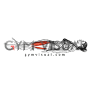 Static Quadriceps Contraction (Isometric) (female)