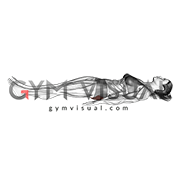 Static Glutes Contraction (Isometric) (female)