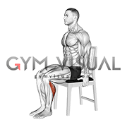 Seated Single Leg Calf Raise on a Chair (male)