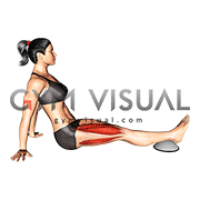 Seated Knee Down (female)