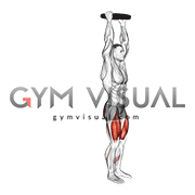 Weighted Plate Overhead Reverse Lunge (male)