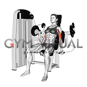 Lever Alternate Biceps Curl (female)