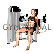 Lever Alternate Biceps Curl (female)