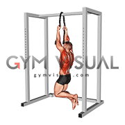 Bodyweight Rope Pull-up (male)