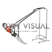 Bodyweight Rope Inverted Row (male)