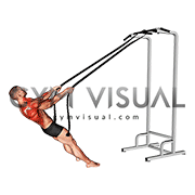 Bodyweight Rope Inverted Row (male)