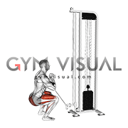 Cable Zercher Squat (male)