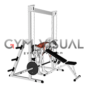 Smith Bent Over Row (chest supported)