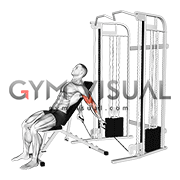 Cable Seated Incline Curl