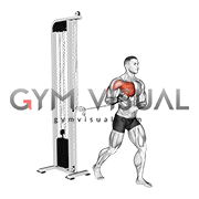 Cable Standing Single Arm Supinated Grip Chest Press