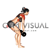 Dumbbell Bent over Y Raise (female)