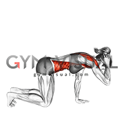 Kneeling Thoracic Rotation (female)