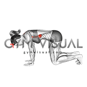 Kneeling Scapular Push-up (female)