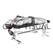 Lying Neck Flexion (female)