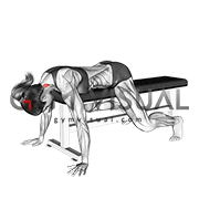 Lying Neck Extension (female)