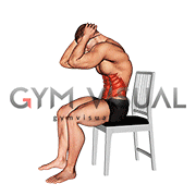 Sitting Cat Cow Stretch on a Chair (male)