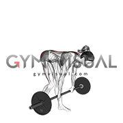 Barbell Staggered Stance Stiff Legged Deadlift (female)
