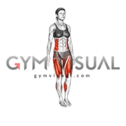 Balance 3 Point Toe Tap (female)