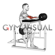 Kneeling Isometric Biceps Hold
