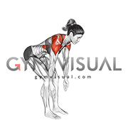 Bent over Back to Side to Front Arms Raise (female)
