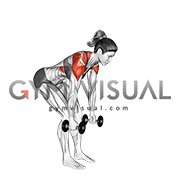 Dumbbell Bent Over Back to Side to Front Arms Raise (female)