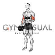 Dumbbell Single Arm Curl with Isometric Hold