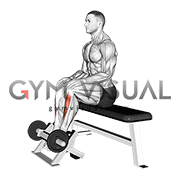 Lever Sitting Toe Raise (male)