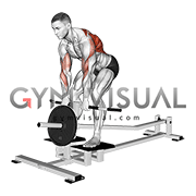 Lever T bar Close grip Row (plate loaded)