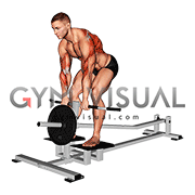 Lever T bar Close grip Row (plate loaded)