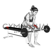 Barbell Wrist Curl (VERSION 2) (female)