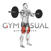 Barbell full Zercher Squat