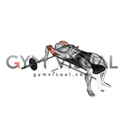 Barbell Lying Close grip Triceps Extension