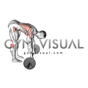 Barbell Standing ab rollout