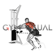 Cable Decline Seated Wide Grip Row