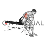 Cable Seated Rear Lateral Raise
