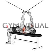 Cable Supine Reverse Fly