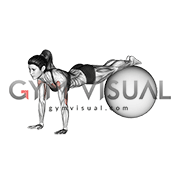 Decline Push up (on stability ball)